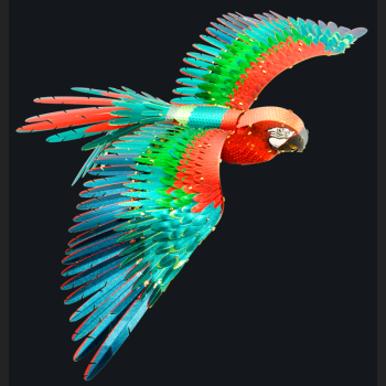 Papuga Ara Jubilee Macaw
